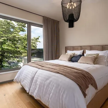 Luxury Lipa Tree With Pool In Novigrad Villa Novigrad Istria