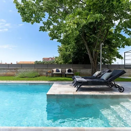 Villa Luxury Lipa Tree With Pool In Novigrad *