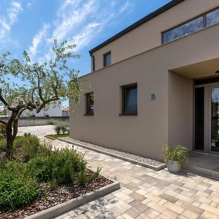 Villa Luxury Lipa Tree With Pool In Novigrad