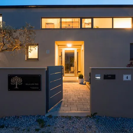 Luxury Lipa Tree With Pool In Novigrad Villa Novigrad Istria