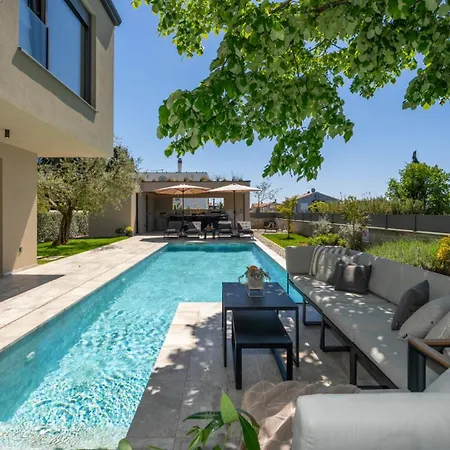 Luxury Lipa Tree With Pool In Novigrad Villa