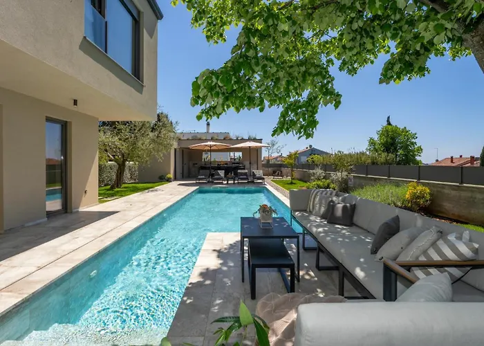 Luxury Lipa Tree With Pool In Novigrad Βίλα