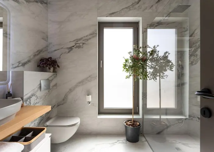 Luxury Lipa Tree With Pool In Novigrad