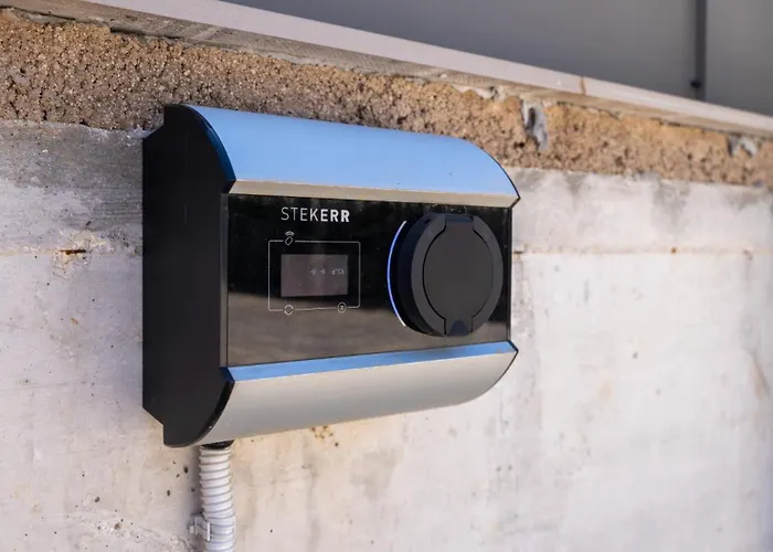 Luxury Lipa Tree With Pool In Novigrad Βίλα Novigrad Istria