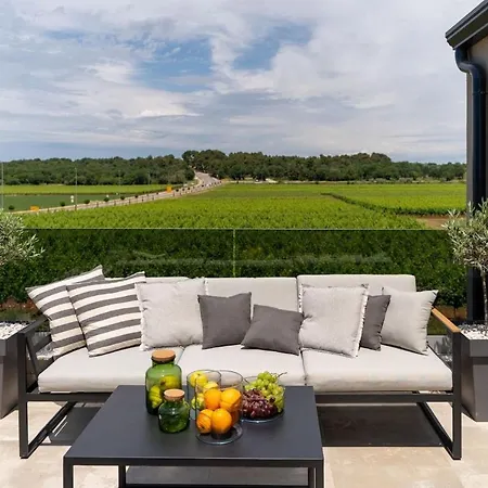 Luxury Lipa Tree With Pool In Novigrad *