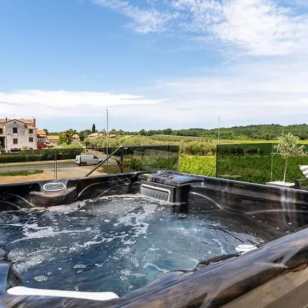 Luxury Lipa Tree With Pool In Novigrad Villa *