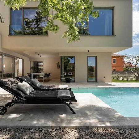 Luxury Lipa Tree With Pool In Novigrad *