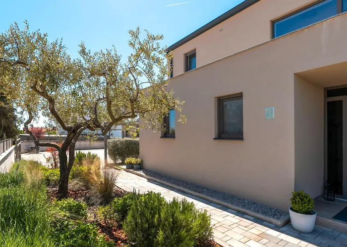 Luxury Lipa Tree With Pool In Novigrad Vila Novigrad (Istria)